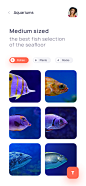 APP UI 采集@GrayKam