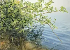 日本水彩大师阿部智幸的夏日水彩画，色彩中流淌着无限诗意