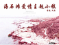 特色风情旅游小镇建筑景观规划设计概念方案汇报文本案例毕设素材-淘宝网