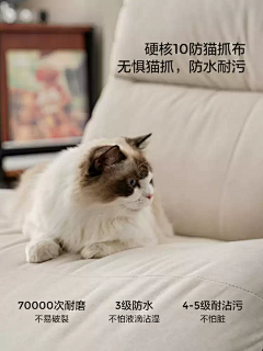 蒲公英的种子V采集到详情页—家具