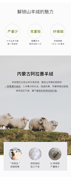 美美坚持采集到山羊棉羊