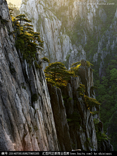 还没失眠采集到自然素材