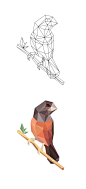 Low Poly Studies on Behance