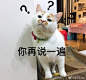 微信图片_20190808175740