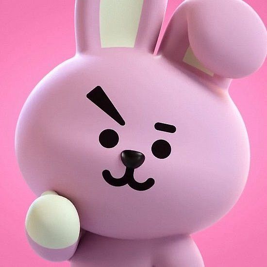 BT21-COOKY 2