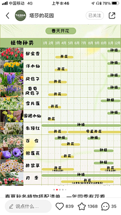 lizhixing采集到花境植物名称