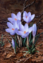 Jan Voerman jun. (Dutch, 1890-1928).

Crocuses, oil on paper, 20,6 x 14,6 cm.