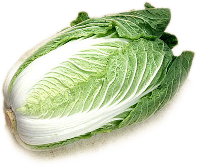 cabbagepngimage