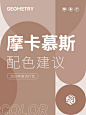 色彩搭配｜2025流行色《摩卡慕斯》配色建议_1_知行久久_来自小红书网页版