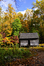 小木屋,秋天,垂直画幅,公园,绿色,墙,木制,无人,户外,房屋