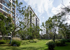 historysky采集到海绵城市