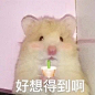 20220611014036_f8f6e
