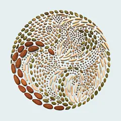 [米田/主动设计整理]你也被吸引了嗎？獨特的「KNOLLING 藝術排列」