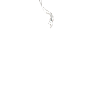 17.png@北坤人素材
