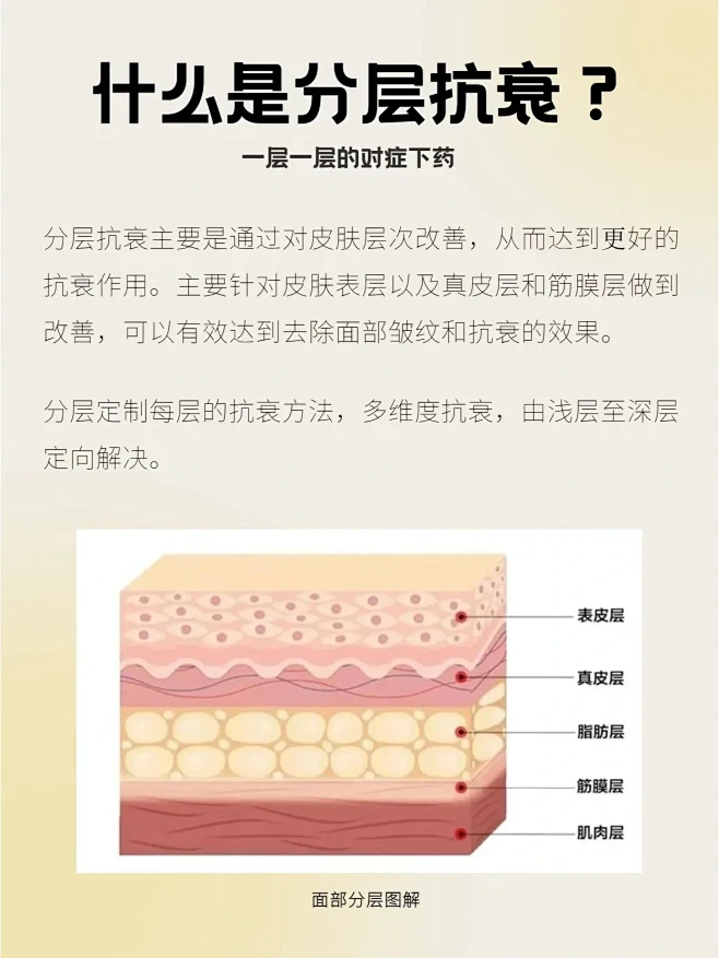 「分层抗衰」早知道，做好第一层很重要
