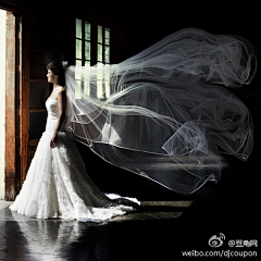 琉星蒎＆魔灵采集到梦幻婚纱