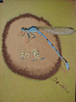 色粉画——蓝蜻蜓 #采集大赛#