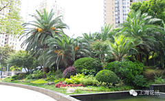 lawoniu采集到A花园/元素/植物配置