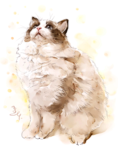 速画本采集到画猫，宠物画像，猫咪画像，猫咪手绘