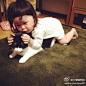 够了，熊孩子！instagram上一位日本妈妈拍下了小女儿和喵星人的“爱恨情仇”。