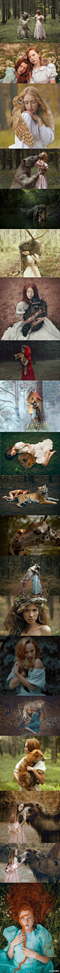 这组图片是一位来自俄罗斯的摄影师拍摄的。被拍摄的动物都是真的，在照片中显得既自然又唯美，好像真的和人能够沟通一样，可想而知拍摄过程有多艰辛…… cr. the way 模特好勇敢…(net)