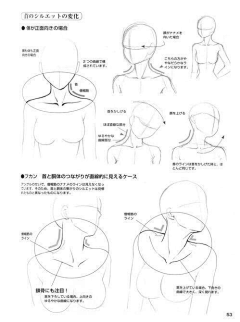 绘月初采集到人体-头部