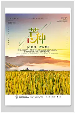 芒是金种是地传统节气芒种海报