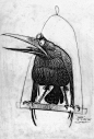 Carter Goodrich 插画 线稿