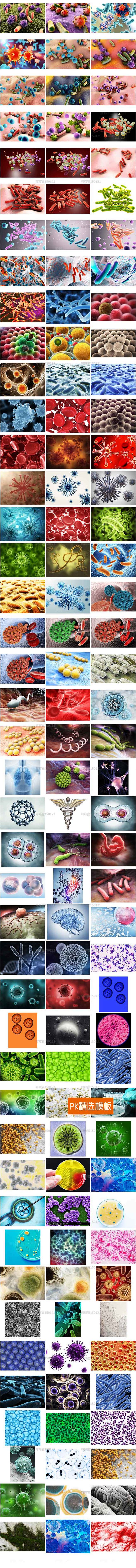 7003-高清图片 JPG 图库 生物医...