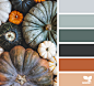 Design Seeds : Design Seeds color palettes ... posted daily for all who love color.