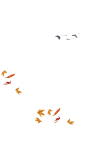 oiseau1.png (525×875) 落叶