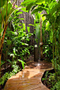 Outdoor Shower - I love the plants surrounding it!: