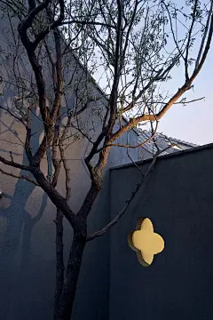 50-打在院墙上的树影-Tree-shadow-cast-on-courtyard-wall-.jpg (1000×1500)
