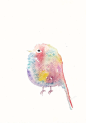 Rainbow Bird Original Watercolor Painting 5 by 8 by cat2owl