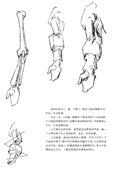 盐画采集到线稿