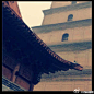 #琵琶西游记#西安大慈恩寺,站在檐下久久凝望.我知你默默伴我渡了春去春又回,我知你解我心,一砖一瓦俱含喜舍...我却转身,候风华的弥漫,任雨雪蚀碎你宽厚的心。青灯伴我染青丝,花语不知花雨深.