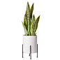 Pinterest : Discover recipes, home ideas, style inspiration and other ideas to try.