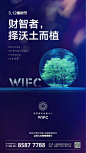 西部国际金融中心 WIFC   节气海报  植树节