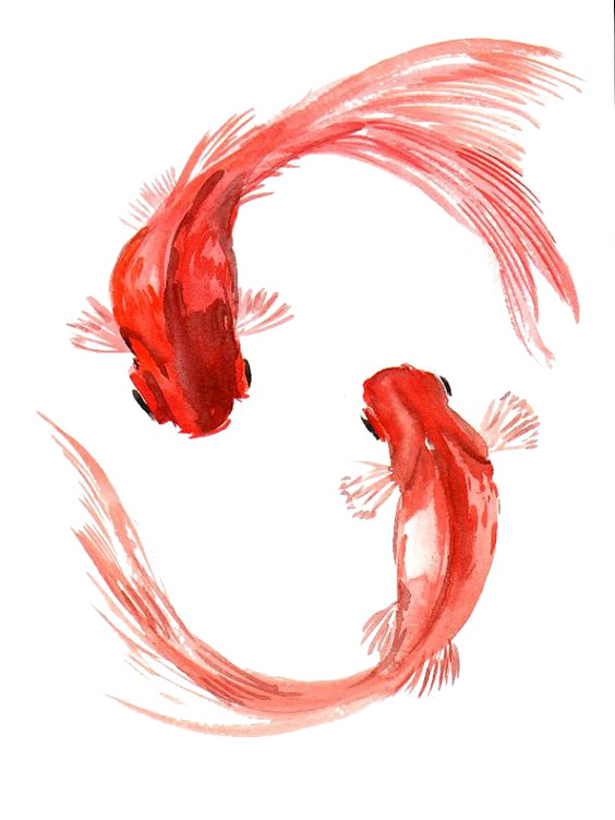 中国古美術・荷花鯉鱼図三尺画芯・啓功印款・水墨画・純手描き・文房具・宣紙・带水印 中国古美術・荷花鯉鱼図三尺画芯・啓功印款・水墨画・純手描き