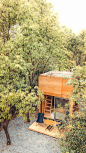 个个世界-林间木屋：自然积木 / 个个世界+先进建筑实验室 – 有方