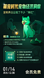 萌宠时代 宠物经济洞察-开课吧