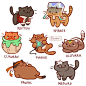 Pawtron 
#voltronlegendarydefender #voltron #digitalart #art #nekoatsume #keith #lance #coran #pidge #allura #hunk #shiro #fanart #cute #cats