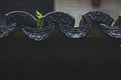 中国书画诗词院的照片 - 微相册