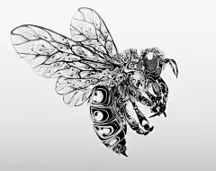 英国插画师 Si Scott 一组充满曲线美感的手绘动物插画作品