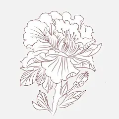 手绘植物花草树木线条手绘花线稿图片大小2000x2000px 图片尺寸809.57 KB 来自PNG搜索网 pngss.com 免费免扣png素材下载！花草#花草树木#花朵#花朵线稿#花朵线条#花卉#卡通手绘#手绘风格#手绘花#手绘花卉#手绘植物#叶子#植物#