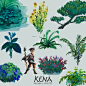 Kena : Bridge of spirits - Vegetation, Florian Coudray : Some of my work done on Kena : Bridge of spirits for Emberlab (2018)
These are traditional watercolors reworked with Photoshop
Character design by Kun Vic
------------------------
Trailer was reveal