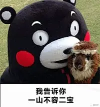 熊本表情包大集合-兴趣部落