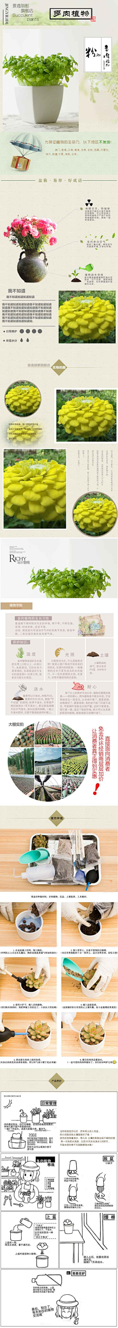 小楊不是Yang采集到绿植详情页