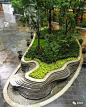 超有创意的树池设计