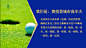 宣传轮播图设计